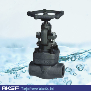 A105 Welded/ Flange Type Forged Steel Globe Valve